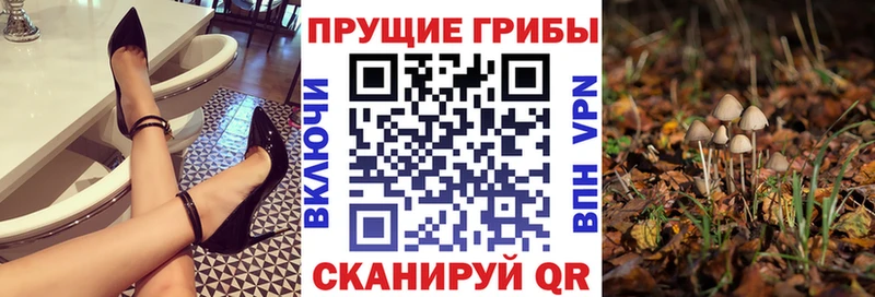 наркотики  Катав-Ивановск  Галлюциногенные грибы MAGIC MUSHROOMS 
